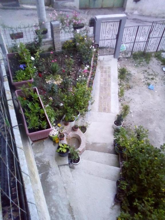Apartman Turkana 2 Sarajevo Ngoại thất bức ảnh
